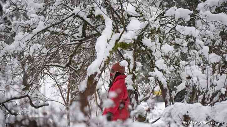 South B.C. highway passes see more snow, Avalanche Canada urges caution as storm hits