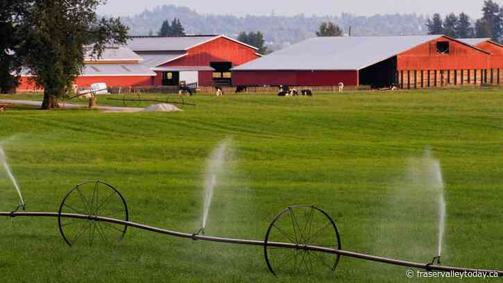Fraser Valley farmland values see strong increase in 2022