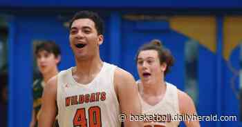 Lake County All-Area Boys Basketball Captain: Aidyn Boone, Libertyville