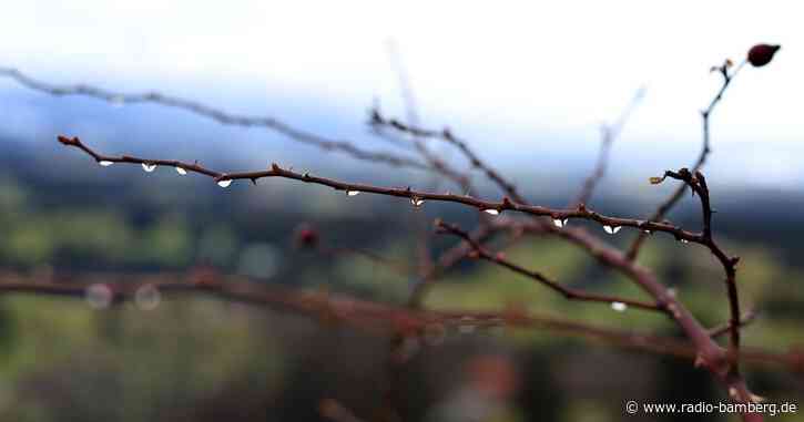 Milder Start in die Woche: Dienstag dann regnerisch