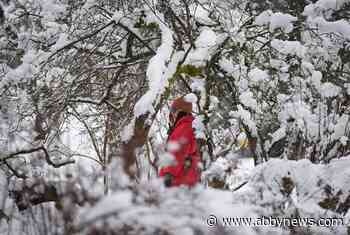 South B.C. highway passes see more snow, Avalanche Canada urges caution as storm hits