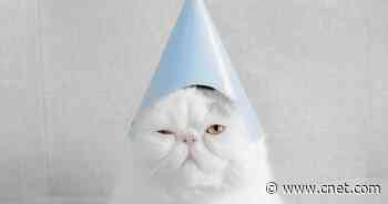 National Napping Day: Get the Most Out of Your Nap With These 4 Hacks     - CNET