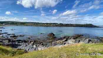 Heroic N.L. duo wins rescuer award for saving 6-year-old from drifting out to sea