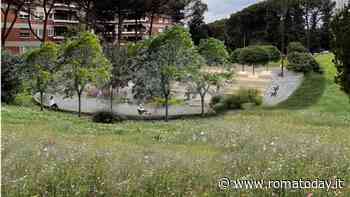 Più alberi ed una piazza al posto della pista di pattinaggio: il Campidoglio ridisegna il parco