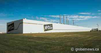 McCain’s largest investment ever will expand potato-processing facility in Alberta