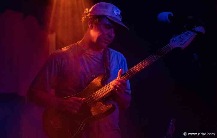 Animal Collective to reissue debut album and EP with unreleased songs