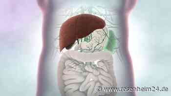 Fettleber: In der Folge sind Leberzirrhose und Hirnschaden möglich