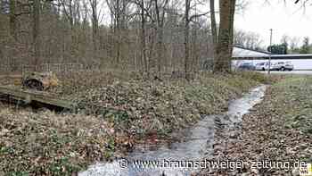 Feuchtigkeitskur für den Wald in der Wolfsburger Nordstadt