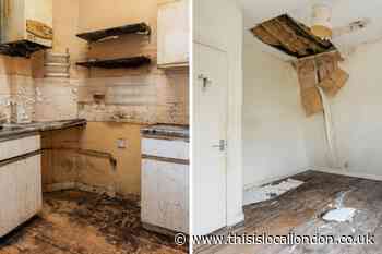 Pictures show inside mouldy Belsize Park home up for auction