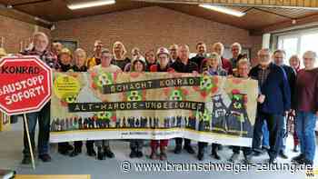 Atomkraftgegner in Vallstedt: Deutsche AKW sind nicht sicher