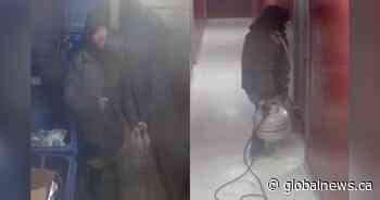 Police seek suspect who attempted ‘targeted arson’ at Hamilton apartment last month