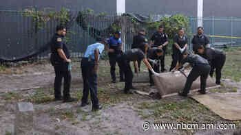 Remains Removed From Grave at Historic Miami City Cemetery: Police