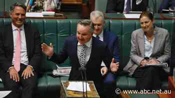 Bowen calls for compromise on Labor's climate policy, as final vote on the legislation looms