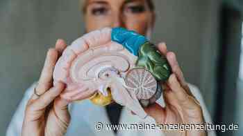 Krebs: Die zehn gefährlichsten und tödlichsten Krebsarten