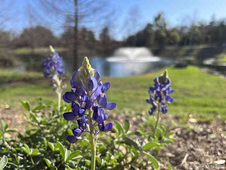Spring arrives weeks earlier for much of the country