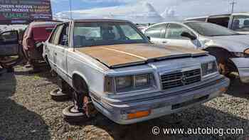 Junkyard Gem: 1987 Dodge 600 SE Sedan
