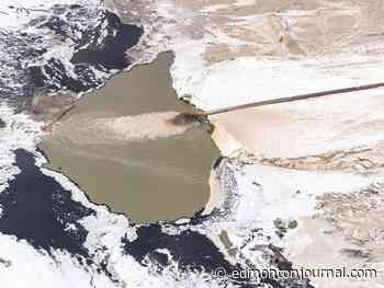 Scientists say Kearl oilsands tailing pond spills harmed fish