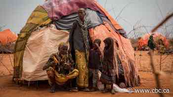 Families walking kilometres for water in Somalia's worst drought in decades, says Saskatoon aid worker