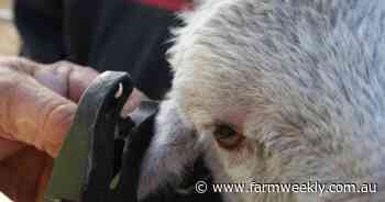 Two charged with livestock mismanagement