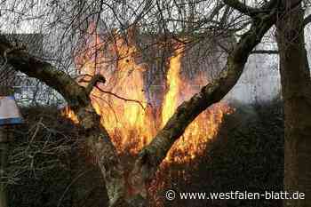 Brandserie in Paderborn: Verdächtige auf freiem Fuß