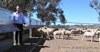 Maximising feed efficiency is rational thinking