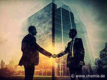 Echtzeit-Überwachung von Polymeren und Biopolymeren