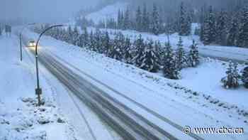 Blast of late-winter snow forecast for highway passes in southern B.C., bringing high avalanche risk