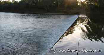 Moving forward: Rangelands conference in Kimberley 2023