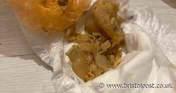 Bristol mum with new baby says flat is so damp it's growing 'mushrooms and fungus'