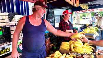 Farmers' market launches new 'click-and-collect' service to take on supermarket giants