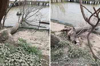 Dust on Greenwich riverbank looks like ‘explosion in a flour mill’