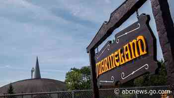 Kiska, last captive orca in Canada, has died at Marineland