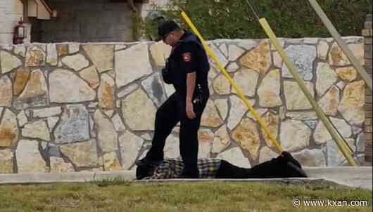 Experts gauge excessive force questions after Mustang Ridge arrest