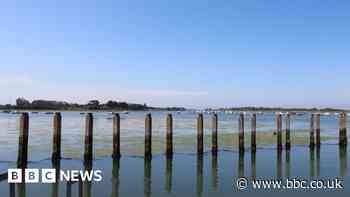 Hampshire swimmers call for river sewage updates