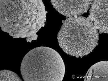 Chemisches Tuning verwandelt Algenschalen in technologisch relevante Funktionsmaterialien