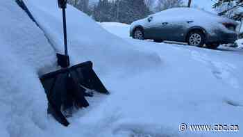 Winter storm in U.S. northeast shuts schools, knocks out power