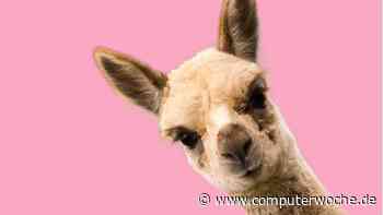 Der Geist ist aus der Flasche: ChatGPT-Rivale LLaMA läuft schon auf dem Mac