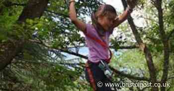 Work has started on thrilling new treetops adventure course at Ashton Court