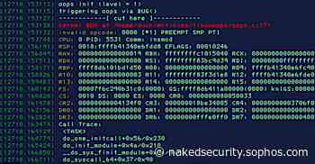 Linux gets double-quick double-update to fix kernel Oops!