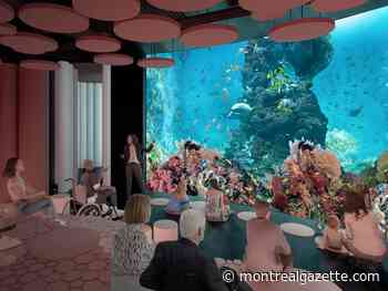 "World class" aquarium expected to open at Royalmount complex in 2024