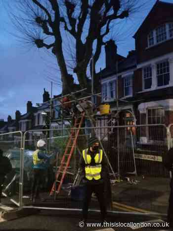 Haringey Council used 'underhand tactics' in tree battle