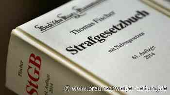 Straftaten: Warum Kinder nicht vor Gericht gestellt werden