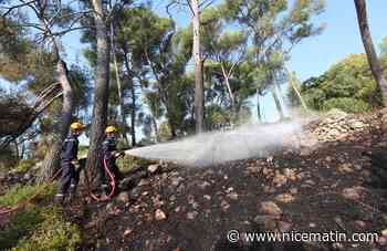Un incendie brûle 2.000 mètres carrés à Artignosc-sur-Verdon