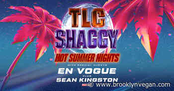 TLC & Shaggy announce summer tour with En Vogue & Sean Kingston
