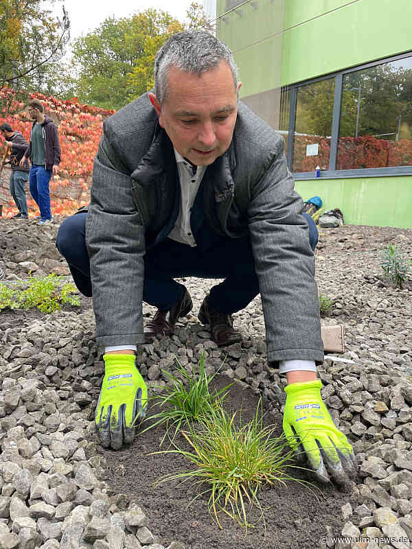 Bis 2030 klimaneutral! Uni Ulm bekennt sich zu Nachhaltigkeit und Klimaschutz