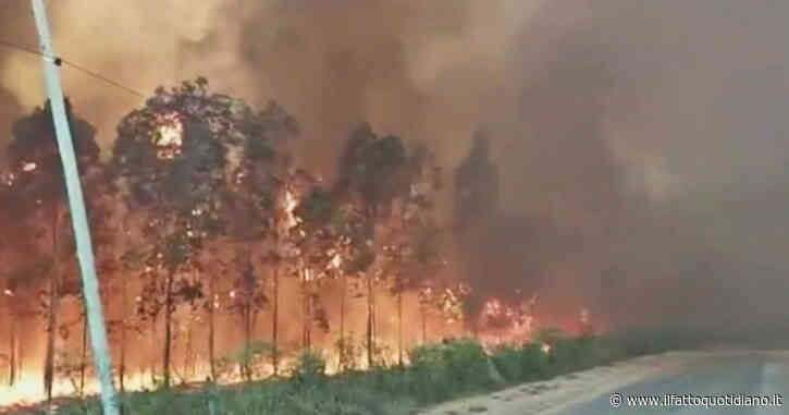 Siccità in Argentina, a fuoco più di 3mila ettari di boschi: il video degli incendi