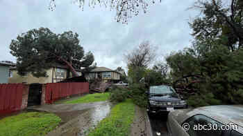 10 displaced after tree falls on apartment complex in northeast Fresno, officials say