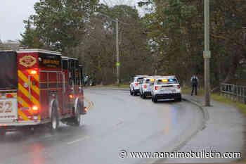 Nanaimo mayor says city ‘in a dangerous place’ after vigilantism and shooting