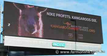 Second big sportswear company drops kangaroo leather