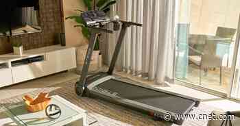 5 of the Best Treadmills for Cardio Workouts     - CNET